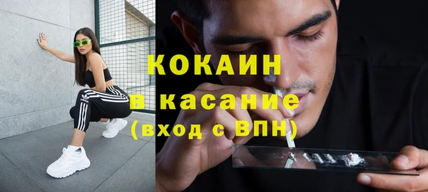 ГАЛЛЮЦИНОГЕННЫЕ ГРИБЫ Верея