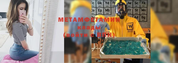 ГАЛЛЮЦИНОГЕННЫЕ ГРИБЫ Верея
