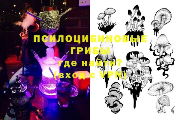 ГАЛЛЮЦИНОГЕННЫЕ ГРИБЫ Верея
