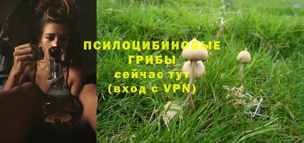 каннабис Новодвинск