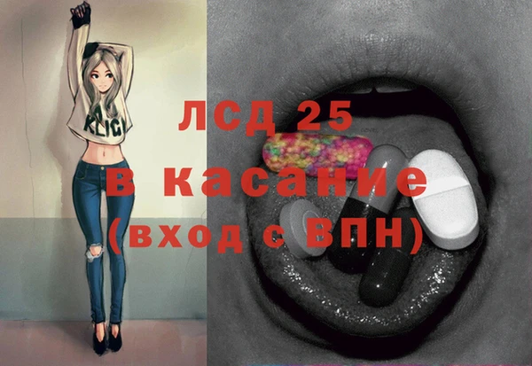 ГАЛЛЮЦИНОГЕННЫЕ ГРИБЫ Верея