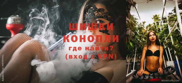 ГАЛЛЮЦИНОГЕННЫЕ ГРИБЫ Верея