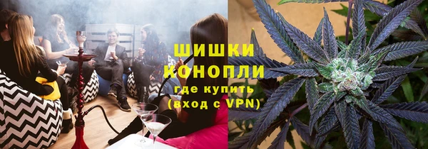ГАЛЛЮЦИНОГЕННЫЕ ГРИБЫ Верея