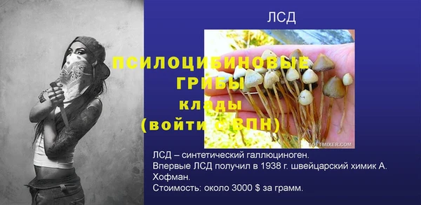 ГАЛЛЮЦИНОГЕННЫЕ ГРИБЫ Верея