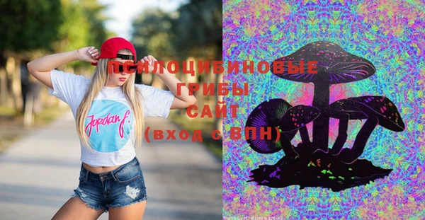 ГАЛЛЮЦИНОГЕННЫЕ ГРИБЫ Верея