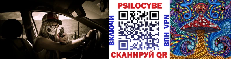 Купить  Корсаков  Псилоцибиновые грибы Cubensis 
